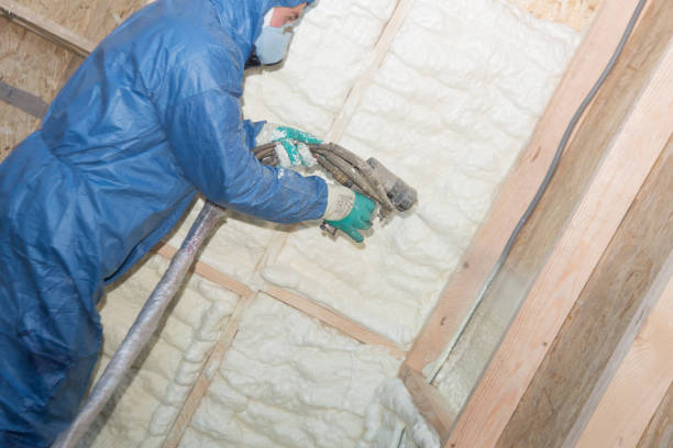 Best Basement Insulation  in Gun Barrel City, TX